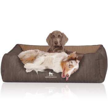Orthopädisches Hundebett Outlander aus laser-gestepptem Kunstleder braun/ caramell XXL