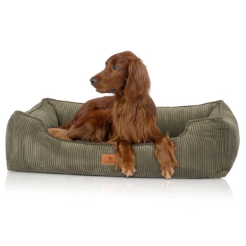 Rötlich-brauner, langhaariger Hund liegt in einem olivfarbenen kordähnlichen Haustierbett mit kleinem beigen Markenetikett vorne, das Logo und Text zeigt.