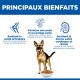 Avantages de la nourriture pour chien : soutient la santé des articulations, favorise une peau et un pelage sains, soutient la santé du cœur et des reins.