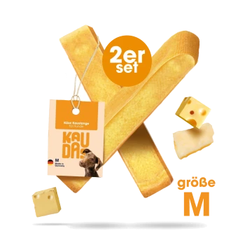 Zwei Käsekaustangen für Hunde, beschriftet mit "Käse Kaustange für Hunde", Größe M, mit einem Etikett, das "2er Set" und "Made in Germany" anzeigt.
