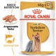 Royal Canin Adult Yorkshire Terrier Hundefutterbeutel, mit einem Yorkshire Terrier mit rotem Schleifchen, der die Rassenernährung und Textur hervorhebt.
