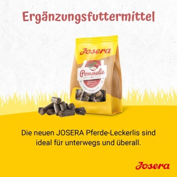 Ein Haufen dunkler, zylindrischer Haustierfutterpellets, die eine strukturierte Oberfläche zeigen, auf einem reflektierenden Hintergrund.