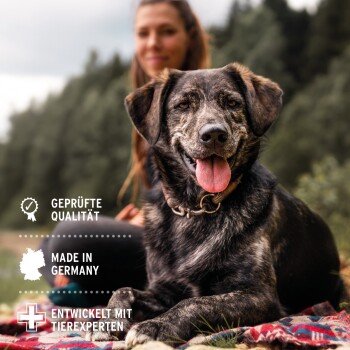 Ein glücklicher gestromter Hund sitzt auf einer bunten Decke im Freien mit Bäumen im Hintergrund, mit Text: "Geprüfte Qualität," "Made in Germany."