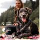 Ein glücklicher gestromter Hund sitzt auf einer bunten Decke im Freien mit Bäumen im Hintergrund, mit Text: "Geprüfte Qualität," "Made in Germany."