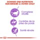 Image promouvant une nutrition sur mesure pour les chats avec des icônes pour la vitalité, le contrôle du poids et la santé rénale. Texte : "NUTRITION SUR-MESURE POUR VOTRE CHAT."