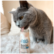 Graue Katze leckt aus einer Flasche mit der Aufschrift „Fisch Snack für jede Katze“ auf einer weißen flauschigen Oberfläche.
