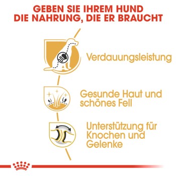 Deutscher Schäferhund Adult 2x11 kg