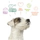 Ein glücklicher Hund schaut nach oben, umgeben von Text: "Reines Futter," "Perfektes Eiweiß-Fett Verhältnis," "Tierschutz," "Bessere Welt," "Glückliche Hunde."