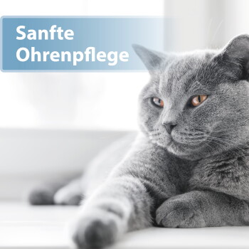 Graue Katze mit bernsteinfarbenen Augen liegt auf einer Fensterbank, blaues Etikett: 'Sanfte Ohrenpflege'.