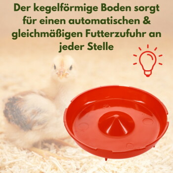 Roter konischer Geflügelfuttertrog mit Küken auf Einstreu; deutscher Text: 'Konisch geformter Boden sorgt für automatische, gleichmäßige Futterzufuhr'