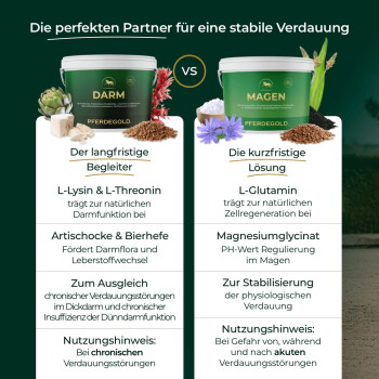 Zwei grüne Pferdegold-Tiegel mit der Beschriftung DARM (langfristig) vs MAGEN (kurzfristig) mit den Inhaltsstoffen L-Lysin/L-Threonin und L-Glutamin.