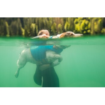 Eine Person in einem Neoprenanzug schwimmt unter Wasser und hält einen Hund in einer blauen Schwimmweste. Das Wasser ist klar grün, mit Bäumen, die über der Oberfläche sichtbar sind.