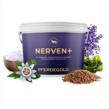 Lila Dose mit der Aufschrift 'NERVEN+' und 'PFERDEGOLD', umgeben von Lavendel, Passionsblume, einer Schale Salz und einem Haufen Leinsamen.