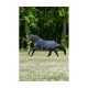 Winterdecke Oasis Turnout 200 g 1,55 m