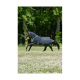 Ein schwarzes Pferd, das eine marineblaue Pferdedecke mit leuchtend grünen Akzenten trägt, galoppiert über ein grasbewachsenes Feld voller weißem Klee.
