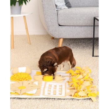 Kleiner brauner Hund schnüffelt an einer gelb-beigen interaktiven Schnüffelmatte auf einem Teppichboden im Wohnzimmer.