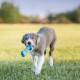 Goodie Bone Puppy