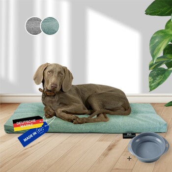 ® Hundebett mit Anti-Rutsch-Boden, strapazierfähiges Kissen für Hunde und Katzen inkl. Gratis-Wassernapf türkis L