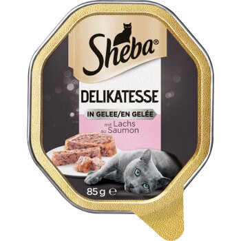 Delikatesse in Gelee 22x85g Lachs