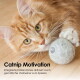 Eine Nahaufnahme einer flauschigen orangefarbenen Katze mit auffälligen gelben Augen, die auf einem Holzboden neben einem grauen Filzball sitzt.