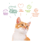 Nahaufnahme einer orange-weißen Katze mit nachdenklichem Ausdruck, umgeben von bunten Sprechblasen über Haustierfutter und Wohlergehen.