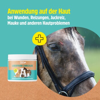 Behälter von Green Hero Lebertran-Zinksalbe für Haustiere, mit dem Slogan "Nature Knows Best" und dem Aufkleber "Made in Germany".