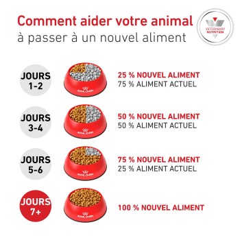 Infographie (Royal Canin) : transition alimentaire — Jours 1–2 25 % nouveau / 75 % ancien ; Jours 3–4 50/50 ; Jours 5–6 75 % nouveau / 25 % ancien ; Jour 7 et plus 100 % nouveau.