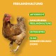 Ein braunes Huhn auf gelbem Hintergrund mit "FREILANDHALTUNG" und Aufzählungspunkten: "ARTGERECHT," "GANZJÄHRIGE," "GETREIDEFREI," "OHNE KONSERVIERUNGS-STOFFE."
