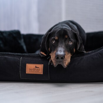 Schwarzer Hund ruht in einem schwarzen Tierlando-Haustierbett mit braunem Logopatch auf hellem Boden.