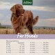 Ein brauner Hund auf einem Feld unter einem bewölkten Himmel, mit einem Fütterungsleitfaden mit dem Titel "Für Hunde", der die täglichen Nahrungsbedürfnisse nach Gewicht umreißt.