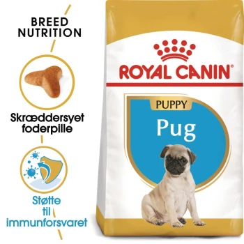 Royal Canin Welpenfutter für Möpse, mit einem Mops-Welpen auf der Verpackung, mit Text, der die Ernährungsbedürfnisse der Rasse und die Unterstützung des Immunsystems hervorhebt.