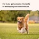 Ein schwarzer Hund läuft auf einem Feld neben dem Text: 'fördert den Bewegungsapparat,' 'für unspezifischen Entzündungen,' '100% natürliche Wirkung.'