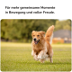 Ein schwarzer Hund läuft auf einem Feld neben dem Text: 'fördert den Bewegungsapparat,' 'für unspezifischen Entzündungen,' '100% natürliche Wirkung.'