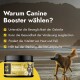 Petstile Canine Booster Glas mit 150g, das Vorteile für Gelenkbeweglichkeit, Verdauung, Haut, Fellvitalität und Immununterstützung bietet.