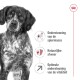 Close-up van een serieuze zwart-witte hond met tekst: 'Spierondersteuning', 'Natuurlijke verdediging', 'Optimale vitaliteitssteun.'