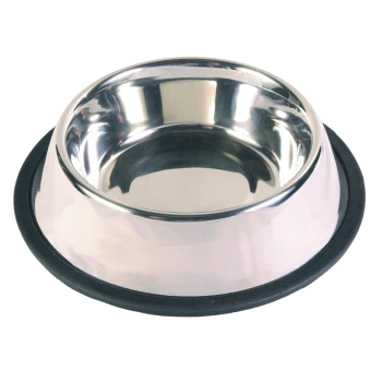 Bol en acier inoxydable pour animaux avec une base en caoutchouc pour éviter de glisser, avec un intérieur brillant et un large rebord.