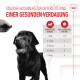 Schwarzer Labrador schaut auf eine Hand mit einem Leckerli, neben einem Text über gesunde Verdauungssnacks und einer Tabelle für Gewichtslimits bei Hunden.