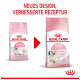 Vergleich der Verpackung von Royal Canin Kittenfutter, mit neuem Design und verbesserter Formel, mit Text, der Vorteile für Kätzchen bis zu 12 Monaten hervorhebt.