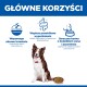 Reklama po polsku: nagłówek "GŁÓWNE KORZYŚCI", brązowo-biały pies siedzi przy misce z suchą karmą, teksty o trawieniu, prebiotykach, owsie