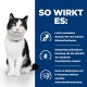 Eine schwarz-weiße Katze sitzt vor einem blauen Hintergrund, mit Text, der ihre ernährungsphysiologischen Vorteile beschreibt, einschließlich leichter Verdaulichkeit und präbiotischer Mischung.