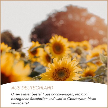 Sonnenblumen auf einem Feld mit deutschem Text über hochwertige, regionale Zutaten für Tiernahrung aus Oberbayern.