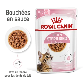 Pochette de nourriture pour chaton Royal Canin pour chats stérilisés de 6 à 12 mois, avec une texture tendre et une suggestion de service avec une image de chaton.