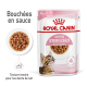 Pochette de nourriture pour chaton Royal Canin pour chats stérilisés de 6 à 12 mois, avec une texture tendre et une suggestion de service avec une image de chaton.