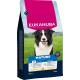 Eukanuba Mature Hundefutter für 7-10 Jahre alte Hunde von 10-25 kg, reich an frischem Huhn, mit einem Border Collie auf der Vorderseite.