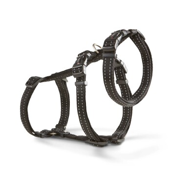 Schwarzes verstellbares Nylon-Hundegeschirr mit reflektierenden Nähten und Kunststoffschnallen, auf weißem Hintergrund dargestellt.