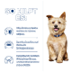 Ein kleiner Hund sitzt vor einem blauen Hintergrund, mit Text, der Vorteile umreißt: unterstützt die Nierenfunktion, regt den Appetit an und hilft bei der Muskelerhaltung.