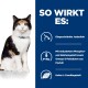 Katze auf blauem Hintergrund mit Text über diätetische Vorteile: niedriges Jod, Phosphor, Natrium; Omega-3 aus Fischöl; hohe L-Carnitin.