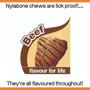Nylabone-Kauartikelverpackung mit einem Rindfleischgeschmack-Kauspielzeug, mit dem Text 'Nylabone-Kauartikel sind leckproof!' und 'Geschmack fürs Leben.'