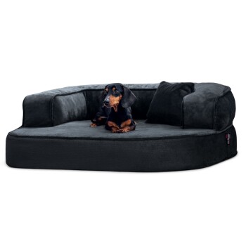 Ein schwarzer Dackel, der sich auf einem plüschigen, dunkelgrauen Hundebett mit erhöhten Seiten und einem kleinen Kissen ausruht.
