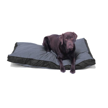Schokoladenfarbener Labrador liegt auf einem großen, grauen, rechteckigen Hundebett mit schwarzer Einfassung und blickt in die Kamera vor weißem Hintergrund.